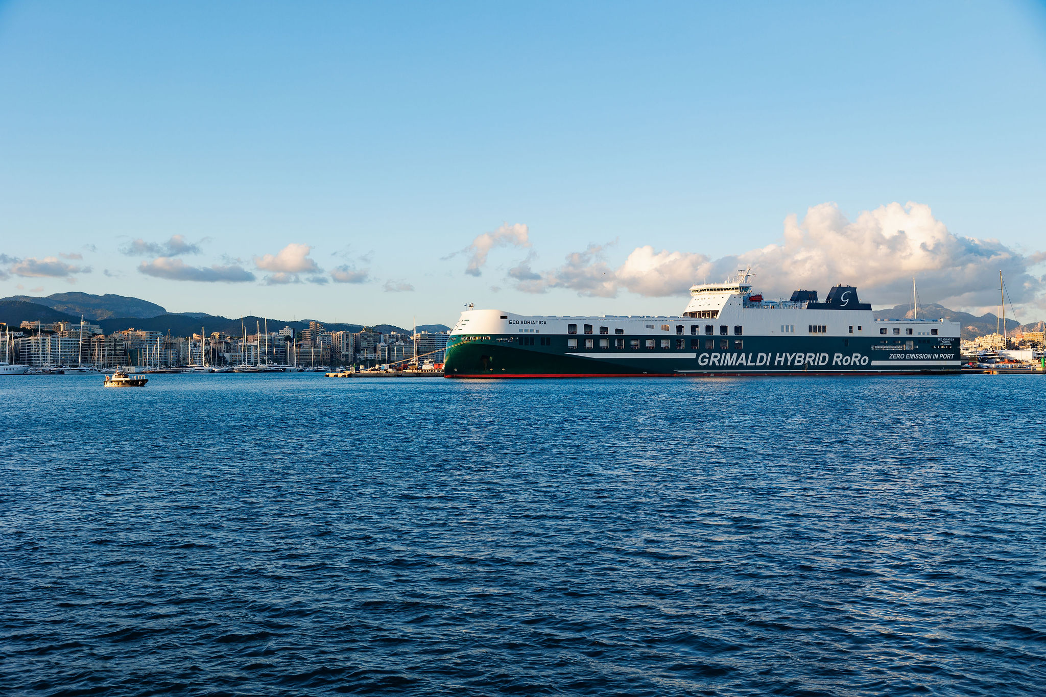 Ships in Port