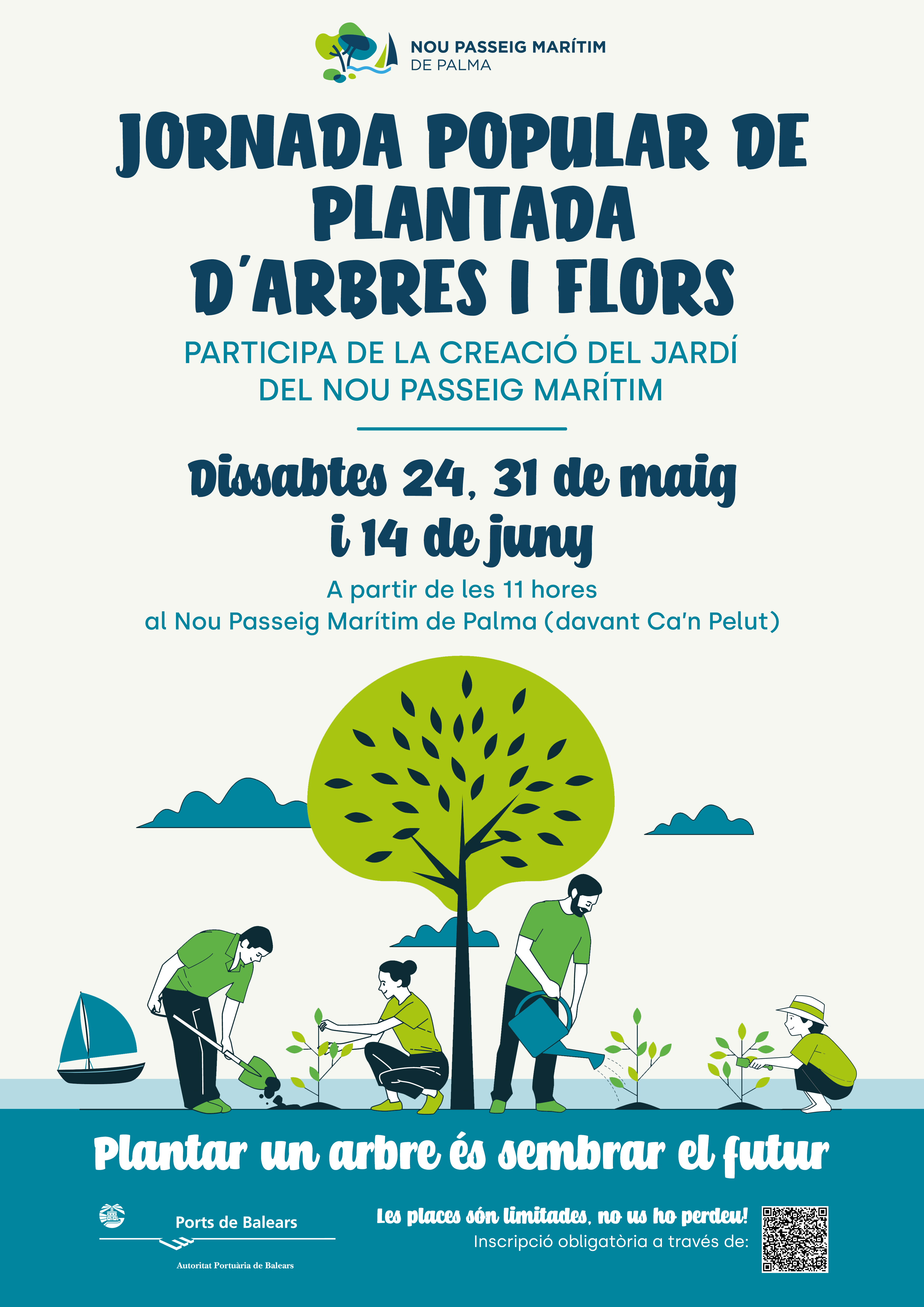 L'APB convida la ciutadania a plantar el futur al Nou Passeig Marítim de Palma