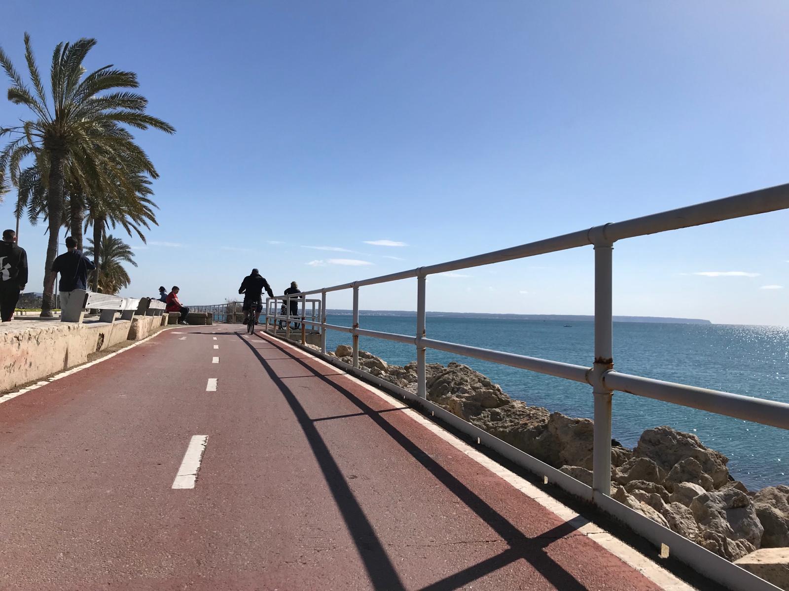 The APB improves Avenida Adolfo Suárez's cycle lane in the port of Palma